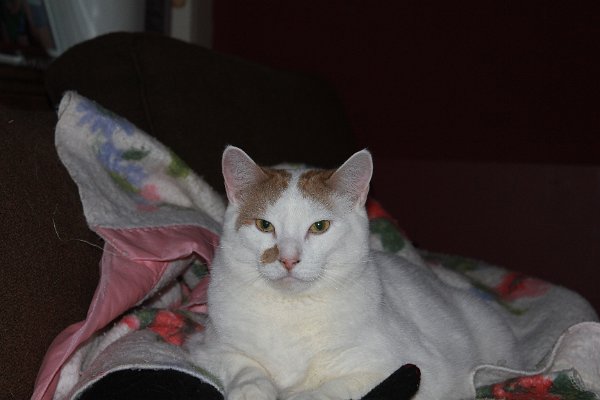 New Camera Dec2010 329